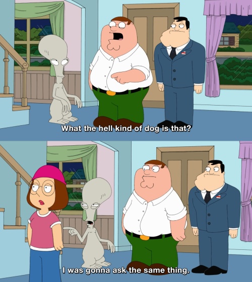 Family Guy - What the hell kind of dog is that?