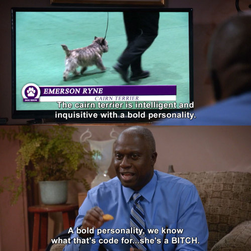 Brooklyn Nine-Nine - A bold personality, we know what that's code for