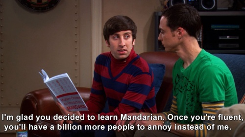 The Big Bang Theory - I'm glad you decided to learn Mandarian