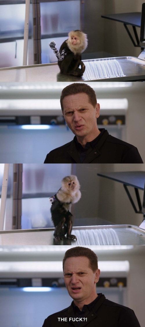 Silicon Valley - That's one NASTY little monkey!