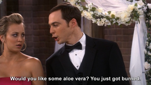 The Big Bang Theory - Would you like some aloe vera?