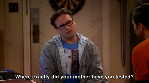 The Big Bang Theory - Where exactly did your mother have you tested?