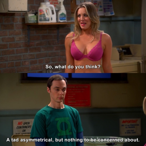 The Big Bang Theory - So, what do you think?