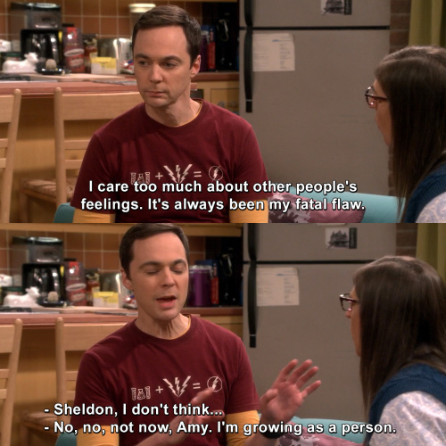The Big Bang Theory - Sheldons fatal flaw