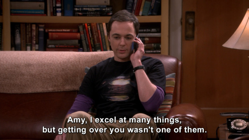 The Big Bang Theory - I excel at many things