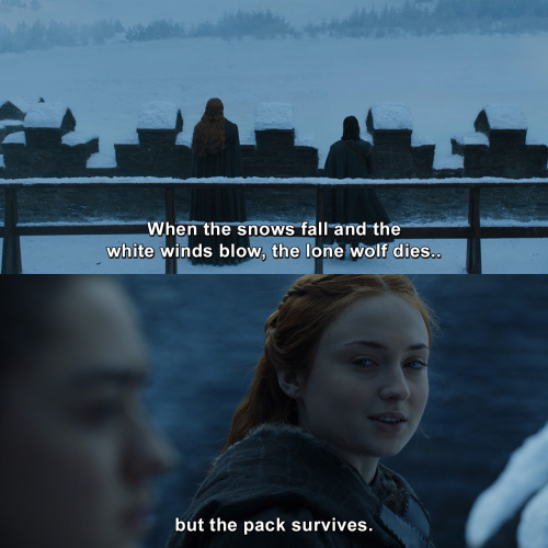 Game of Thrones - When the snows fall and the white winds blow, the lone wolf dies but the pack survives. – Sansa Stark