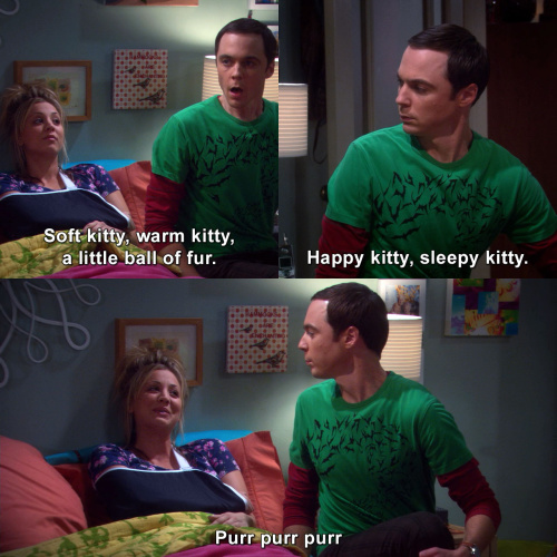 The Big Bang Theory - Soft kitty, warm kitty, a little ball of fur.