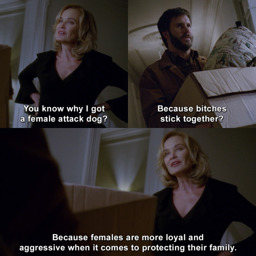 American Horror Story - You know why I got a female attack dog?