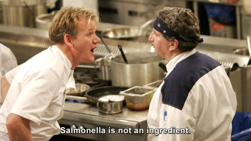Hells Kitchen - Salmonella is not an ingridient.