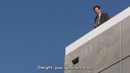 The Office - Dwight, you ignorant sl*!