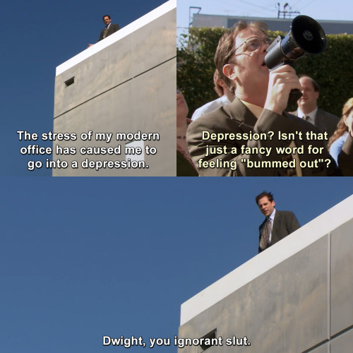 The Office - Dwight, you ignorant sl*!