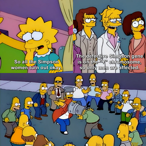 The Simpsons - So all the Simpson women turn out okay.