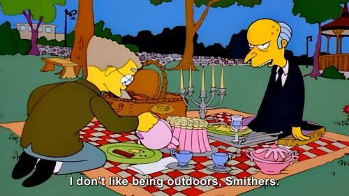The Simpsons - I don't like being outdoors