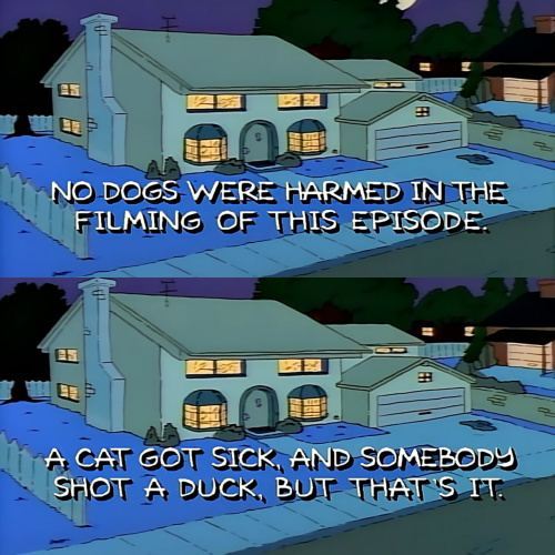 The Simpsons - Nod dogs were harmed in the filming of this episode. A cat got sick, and somebody shot a duck, but that's it.