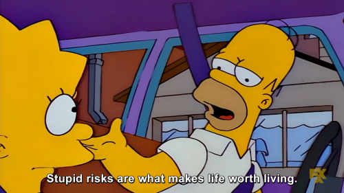 The Simpsons - Stupid risks are what makes life worth living.