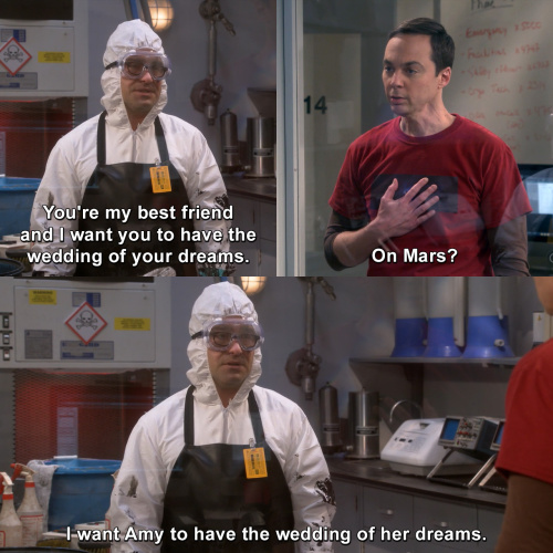 The Big Bang Theory - I want you to have the wedding of your dreams