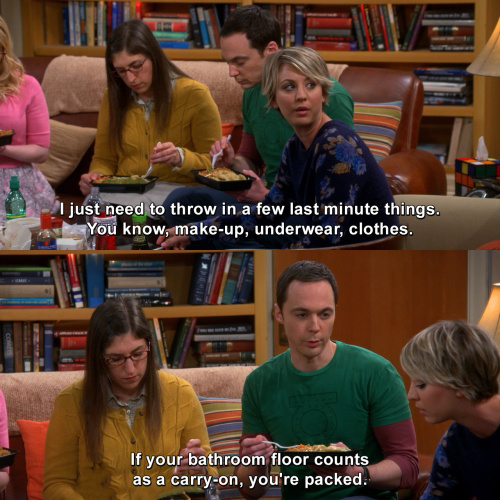 The Big Bang Theory - I just need to throw in a few last minute things.