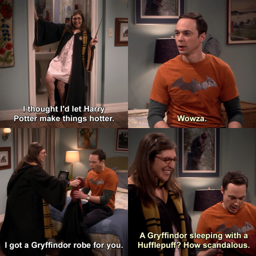 The Big Bang Theory - A Gryffindor sleeping with a Hufflepuff?