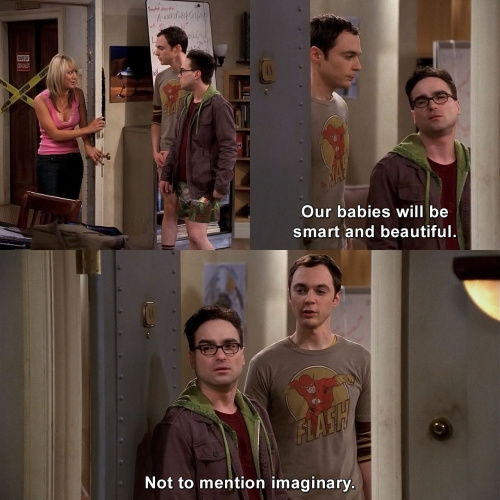 The Big Bang Theory - Smart and beautiful
