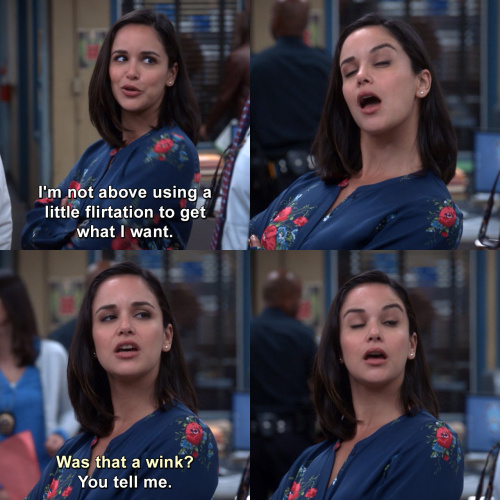 Brooklyn Nine-Nine - I'm not above using a little flirtation to get what I want.