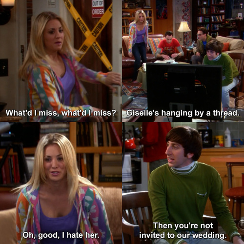 The Big Bang Theory - What'd I miss